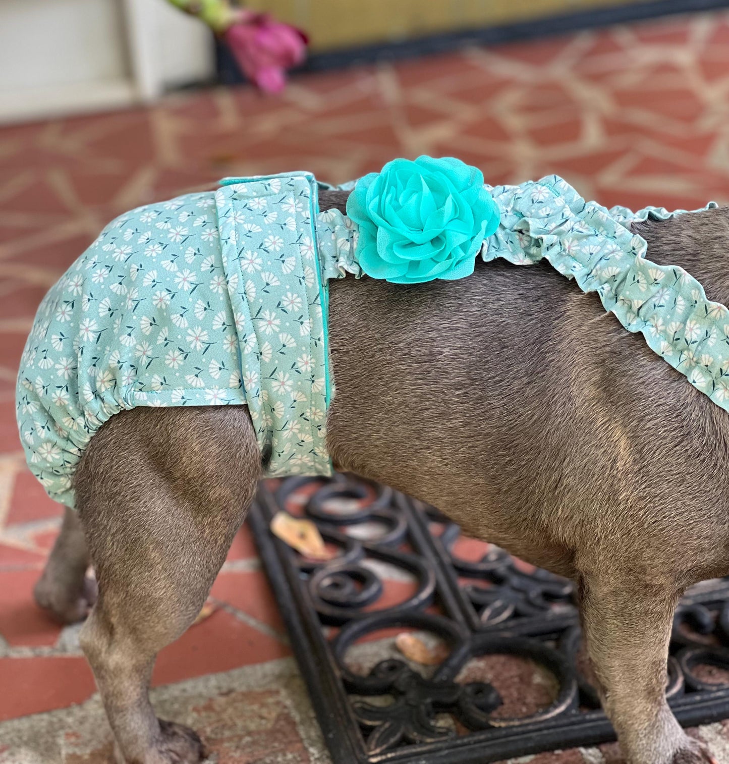 FRENCH BULLDOG DIAPER First Heat Panties: I'm Feelin' Daisy for Bulldog Lover Dog Mom Special Needs Incontinence