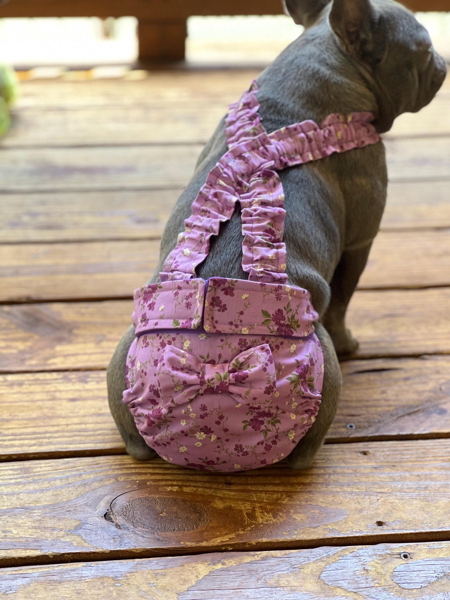 No Tail Hole Female FRENCH BULLDOG DIAPERS Cover Set of 2 with suspenders bitch britches heat pants for dog mom