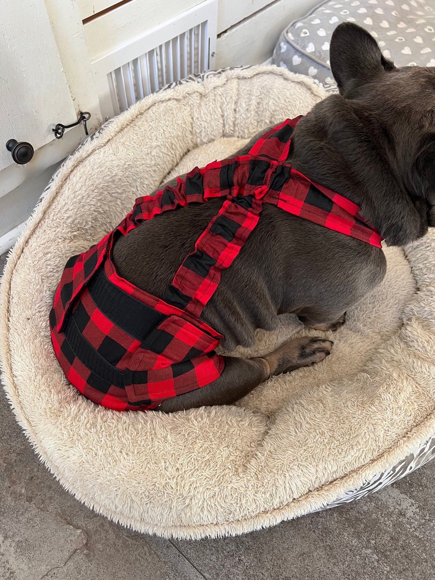 WEPHIES DIAPERS BELLY BAND DIAPER COVER FRENCH ENGLISH BULLDOG Buffalo Plaid with black bow tie and suspenders