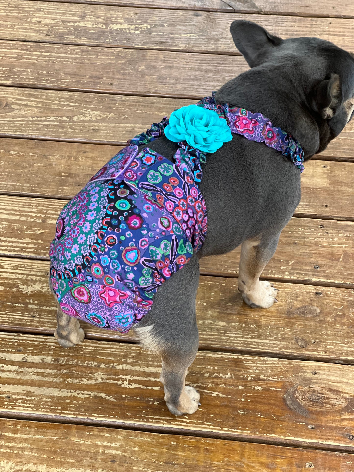 No Tail Hole Female FRENCH BULLDOG DIAPER Purple Paisley with suspenders bitch britches heat pants for dog mom