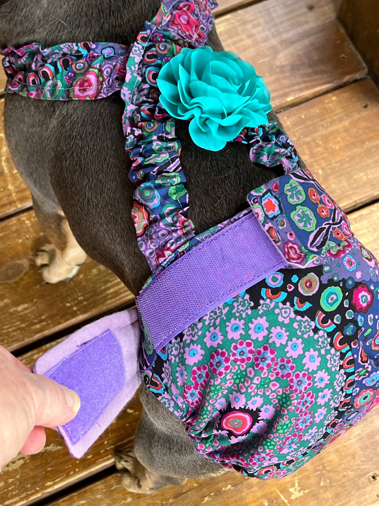 No Tail Hole Female FRENCH BULLDOG DIAPER Purple Paisley with suspenders bitch britches heat pants for dog mom