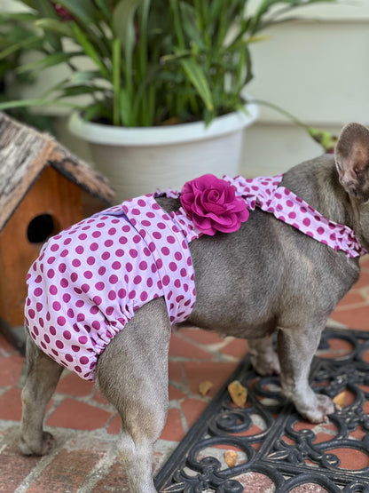 No Tail Hole Female FRENCH BULLDOG DIAPERS Cover Set of 2 with suspenders bitch britches heat pants for dog mom