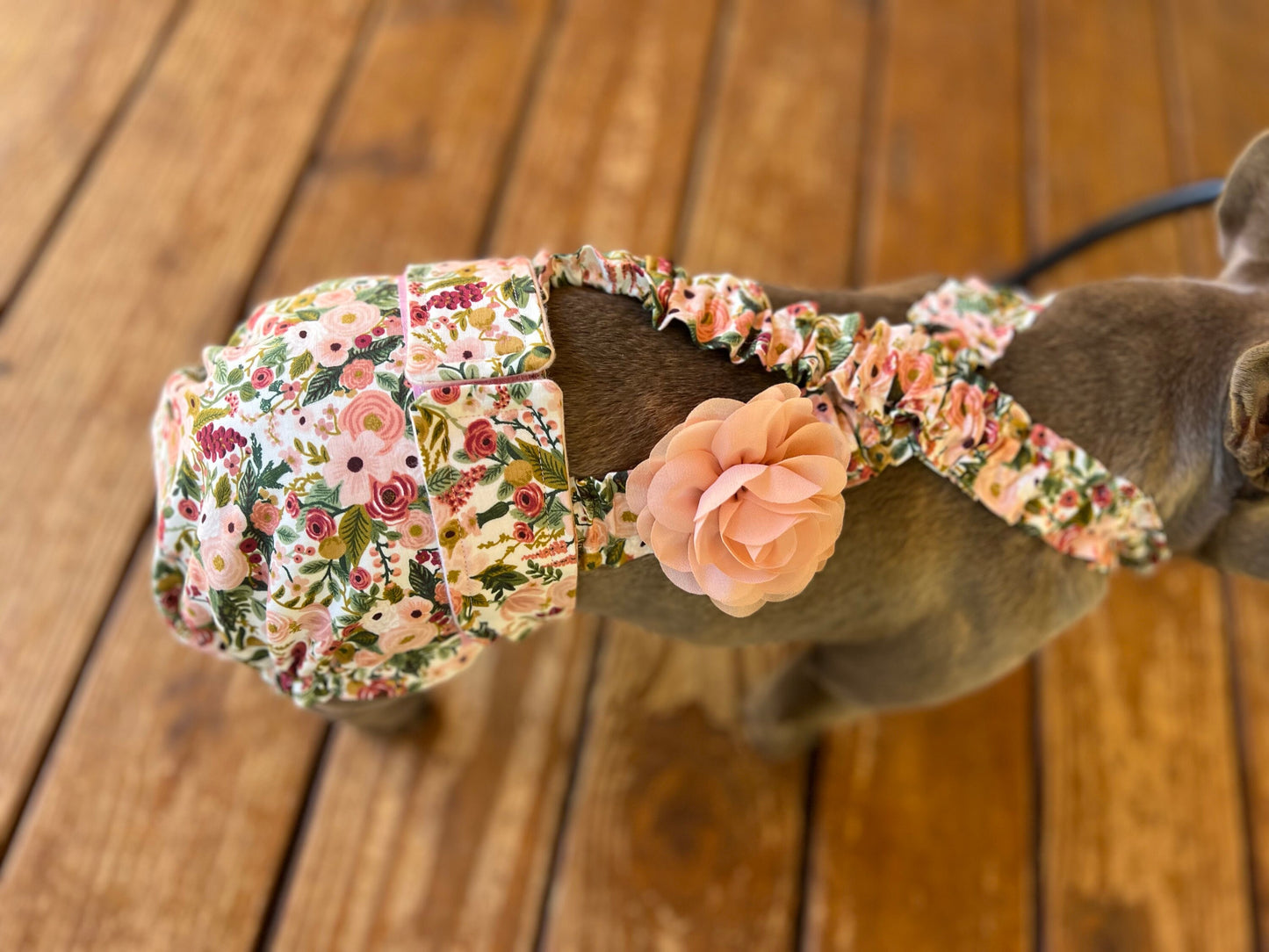 FRENCH ENGLISH BULLDOG DIAPER Garden Party Floral suspender washable comfortable chic dog nappy