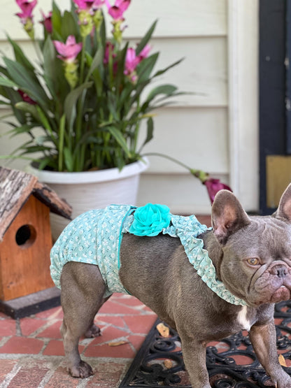 FRENCH BULLDOG DIAPER First Heat Panties: I'm Feelin' Daisy for Bulldog Lover Dog Mom Special Needs Incontinence