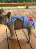 FRENCH BULLDOG DIAPERS with Suspenders (No tail hole): Reusable Washable Dog Diaper Cover for Female in Heat/Incontinence - Red Gingham Set of 2 - Wephies