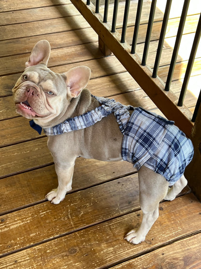 WEPHIES DIAPERS BELLY BAND DIAPER COVER FRENCH ENGLISH BULLDOG Plaid Blue Gray Flannel with navy bow tie and suspenders