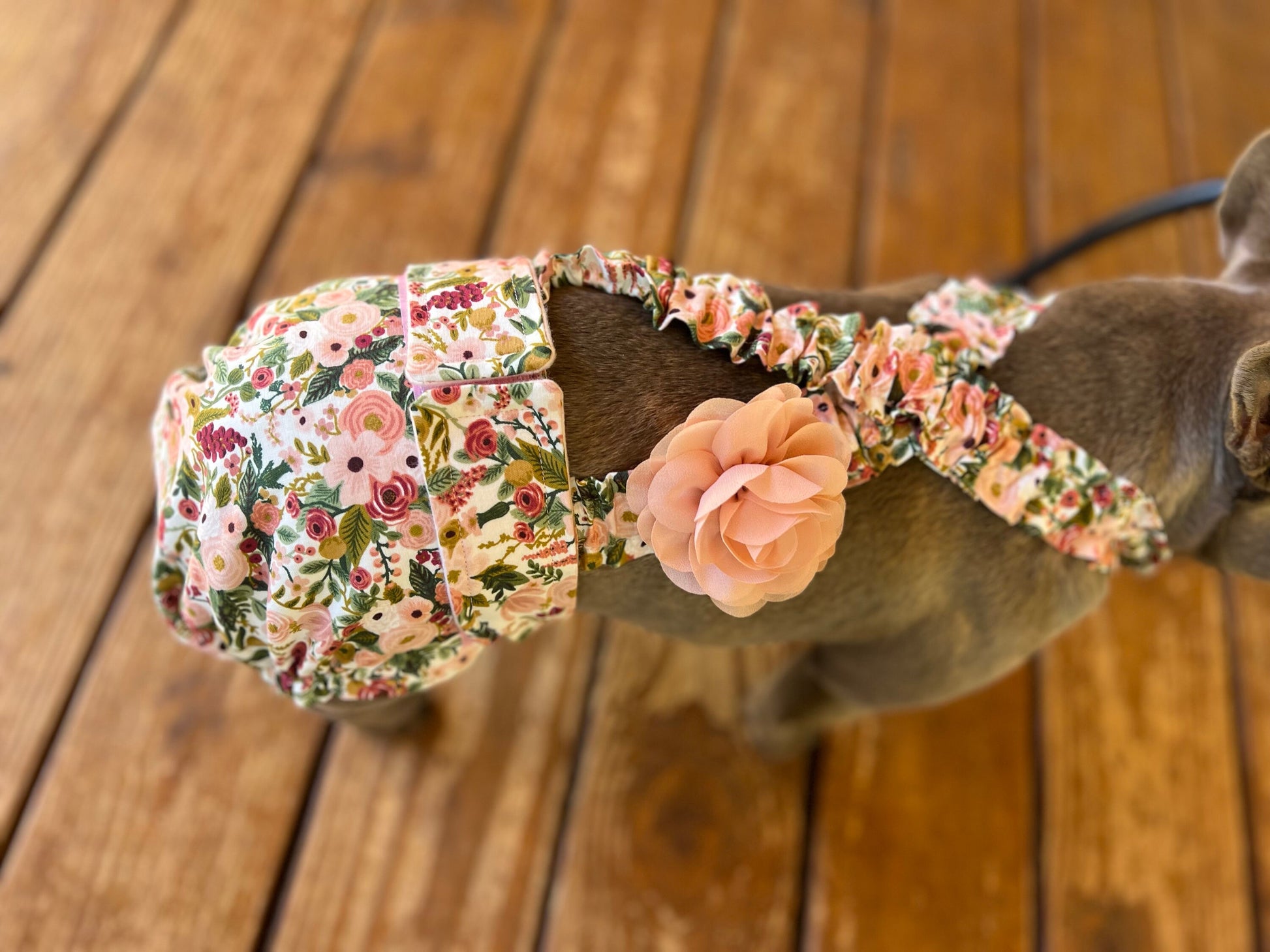 Dog wearing Floral French Bulldog Diaper Coveralls