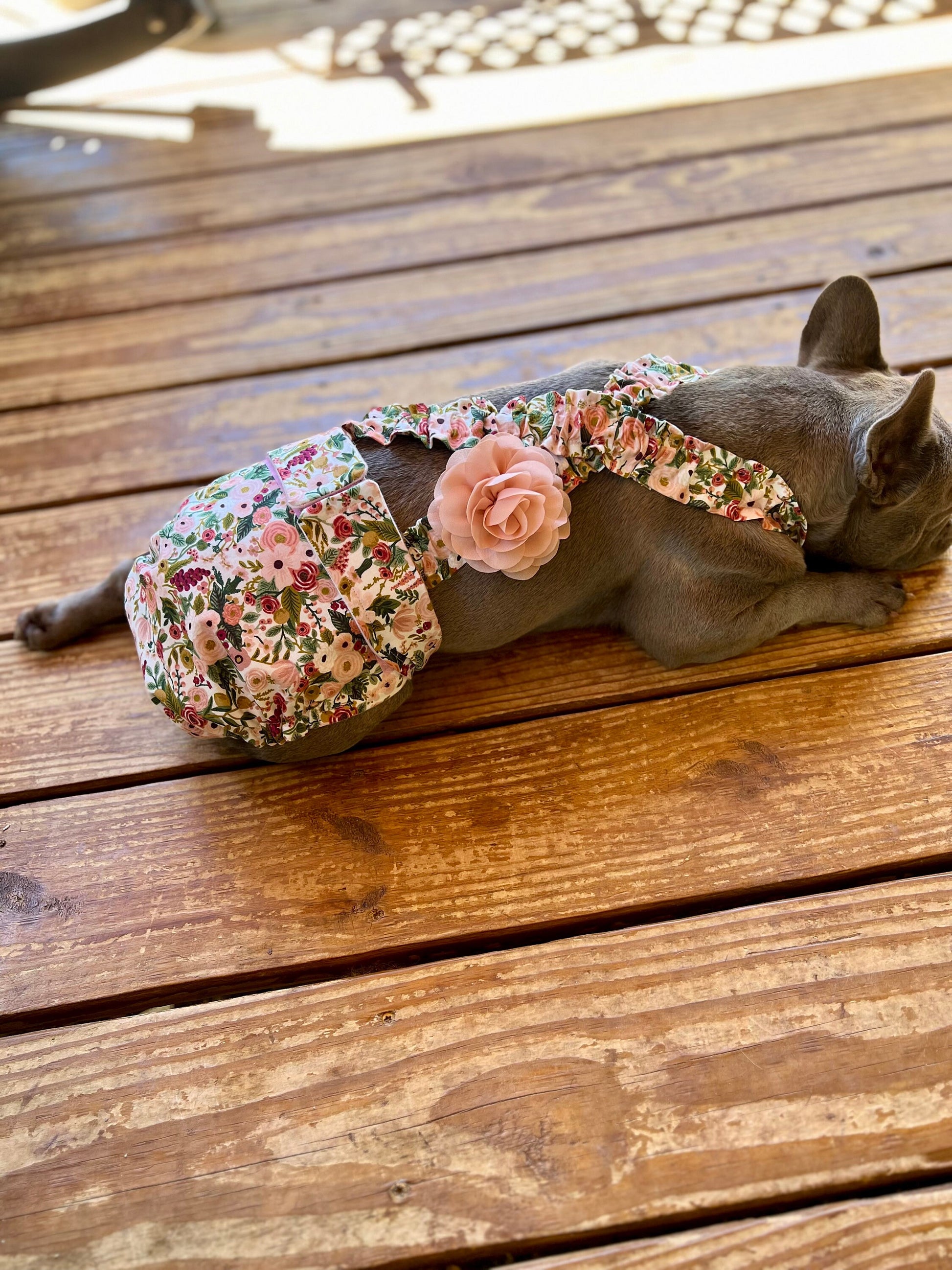 French Bulldog wearing a floral diaper