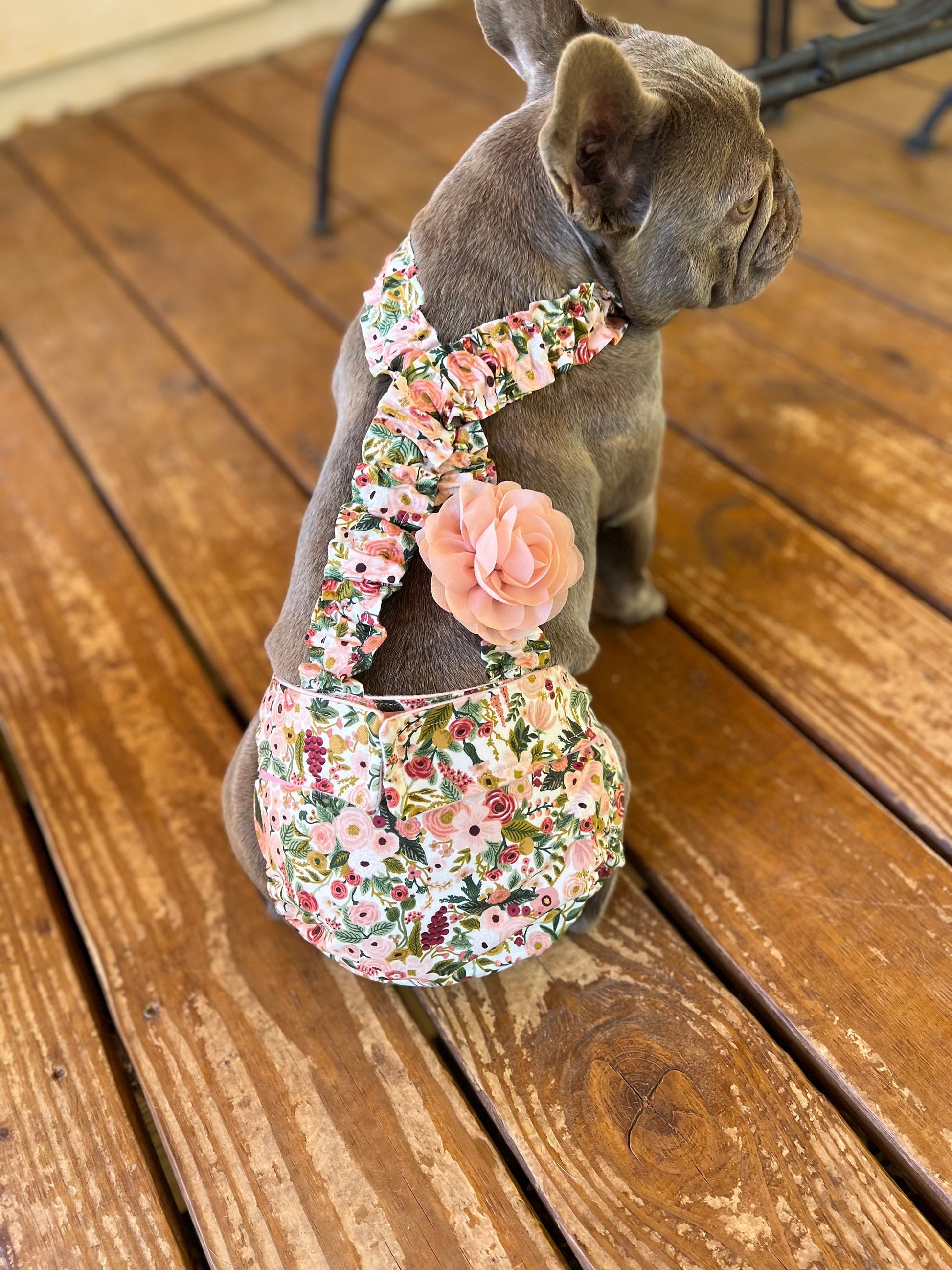 Frenchie wearing a floral harness with a pink flower