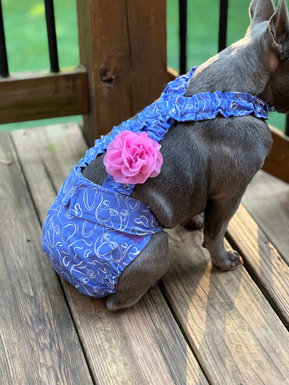 French Bulldog diaper accessories Frenchie Serene with no tail female doggie diaper