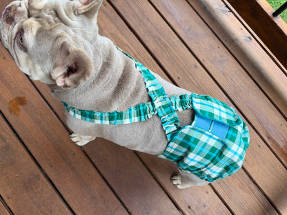 French Bulldog Male Belly Band Diaper with Suspenders: Carolina Coastal Plaid - Wephies