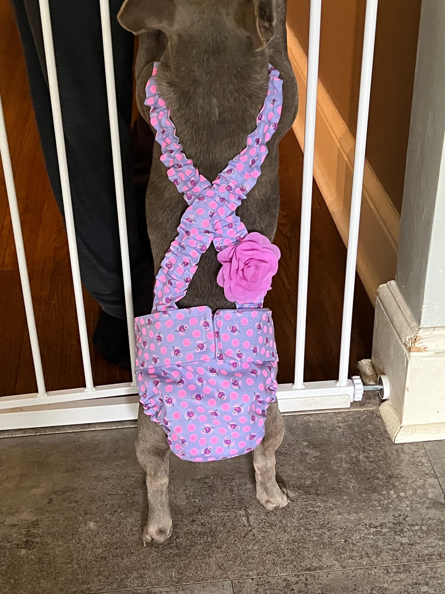 No Tail Hole Female FRENCH BULLDOG DIAPER Lavender or Pink Cover with suspenders bitch britches heat pants for dog mom
