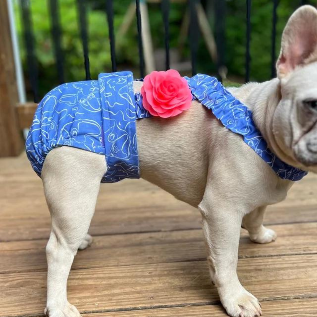 frenchie-serene-wephies-diapers-light-grey-french-bulldog-standing-side-view-wooden-porch-powerful