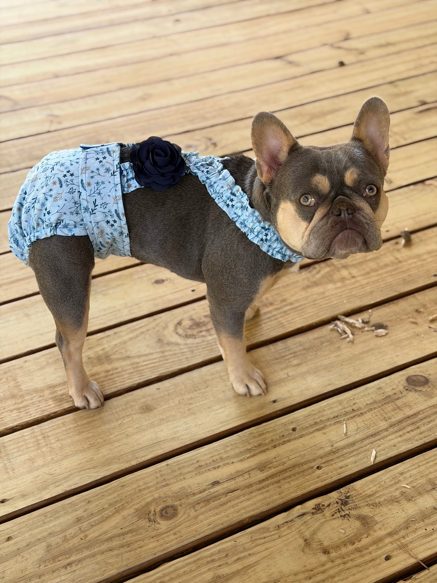 Conjunto de funda de pañal para bulldog francés hembra sin orificio para la cola con tirantes, pantalones térmicos para perra, para mamá perra