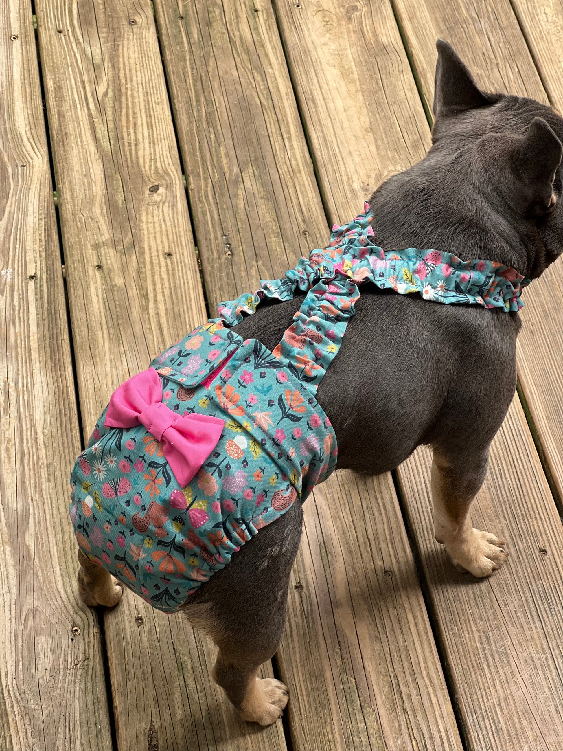 Dog wearing a colorful diaper with ruffles and a pink bow on a wooden deck.