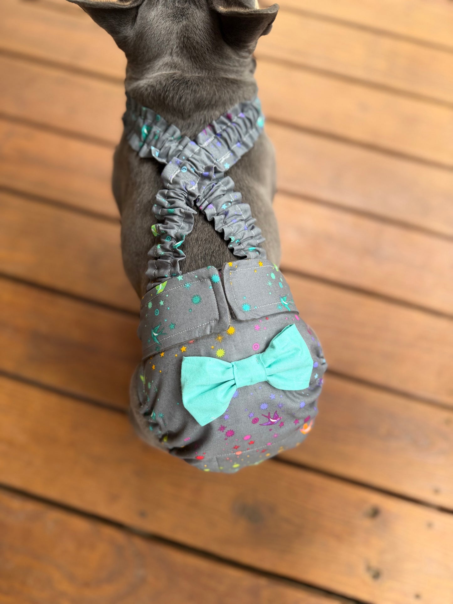 French Bulldog Heat Diaper with Suspenders – Washable Female Dog Diaper – Celestial Dust