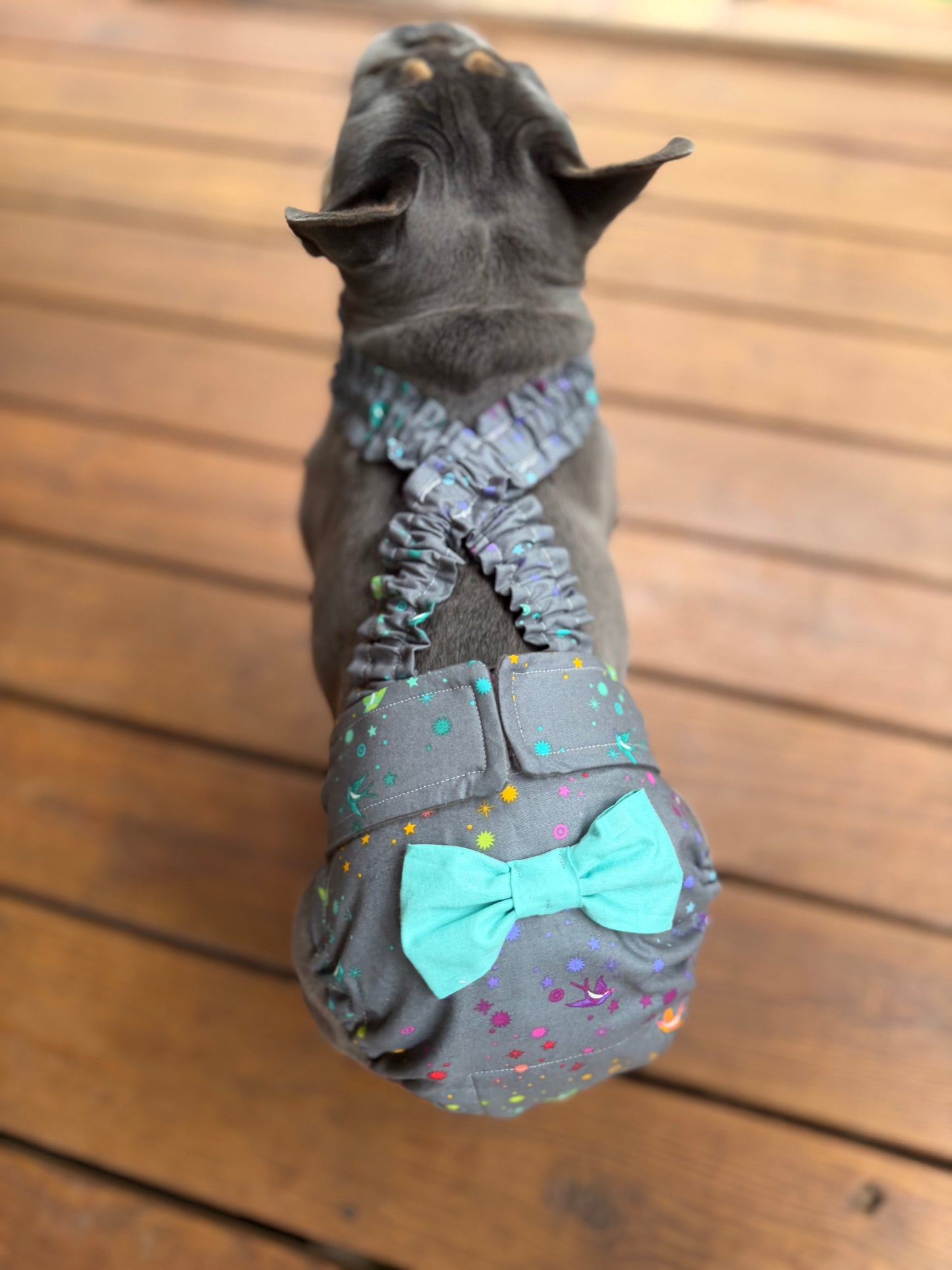 French Bulldog Heat Diaper with Suspenders – Washable Female Dog Diaper – Celestial Dust