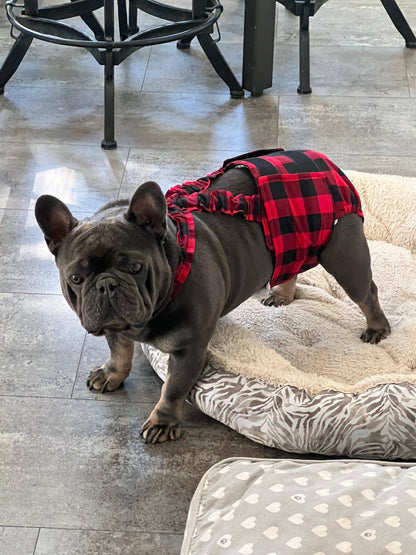 WEPHIES DIAPERS BELLY BAND DIAPER COVER FRENCH ENGLISH BULLDOG Buffalo Plaid with black bow tie and suspenders