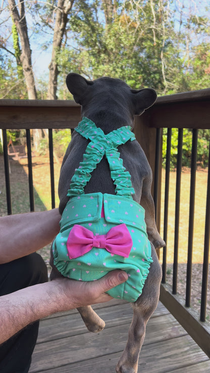 No Tail Hole Female FRENCH BULLDOG DIAPER Unconditional Love with bow bitch britches heat pants