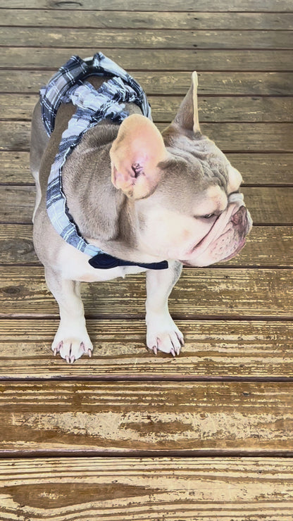 WEPHIES DIAPERS BELLY BAND DIAPER COVER FRENCH ENGLISH BULLDOG Plaid Blue Gray Flannel with navy bow tie and suspenders