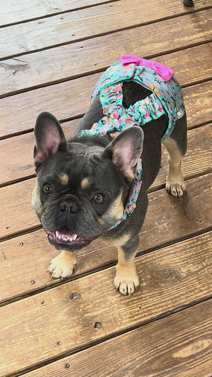 French English Bulldog Diaper Cover: No Tail Hole, Squirel Woodland Wander Nappy w Adjustable Suspenders Escape Proof Nappy w bow