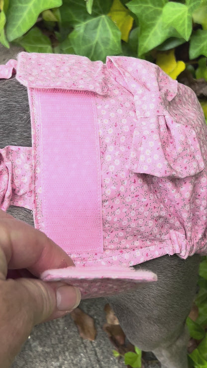 FRENCH BULLDOG DIAPER Cover for Females: Pink Sevenberry suspender britches heat pants with bow
