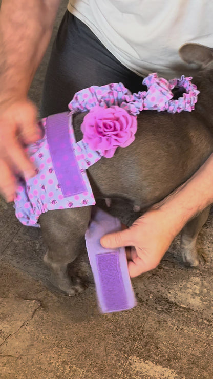 No Tail Hole Female FRENCH BULLDOG DIAPER Lavender or Pink Cover with suspenders bitch britches heat pants for dog mom