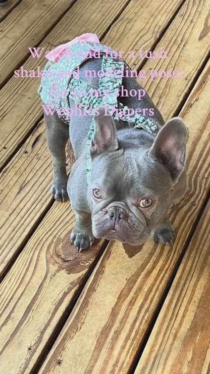 Wephies Handmade English French Bulldog Diaper Cover: Picturesque suspenders w bow